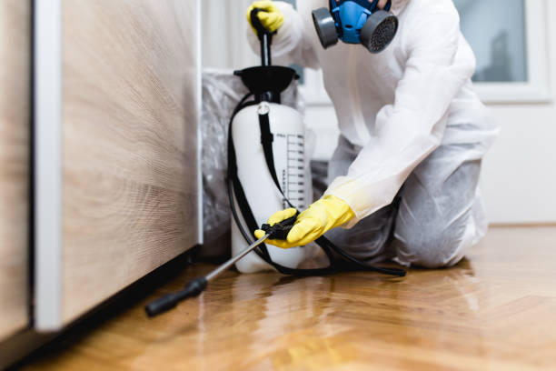 Flea Control Services in Garretson, SD