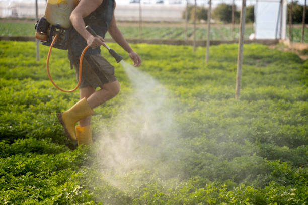 Best Local Pest Control Services  in Garretson, SD