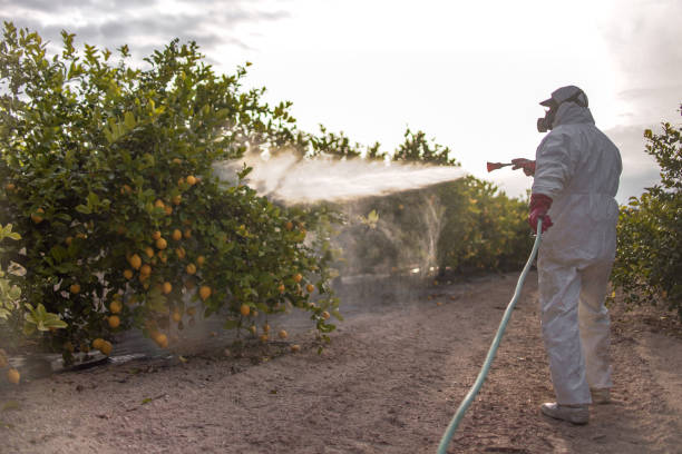 Best Pest Removal Services  in Garretson, SD