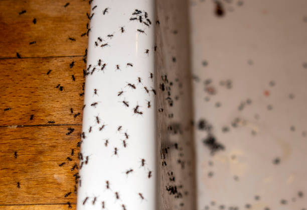 Best Wildlife Control Services  in Garretson, SD