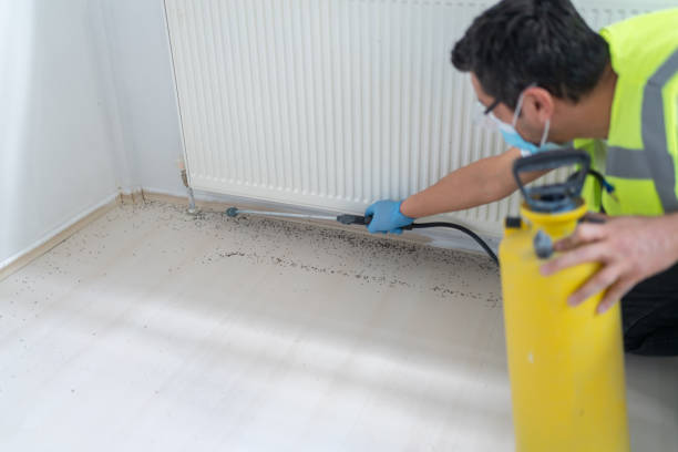 Best Residential Pest Control  in Garretson, SD